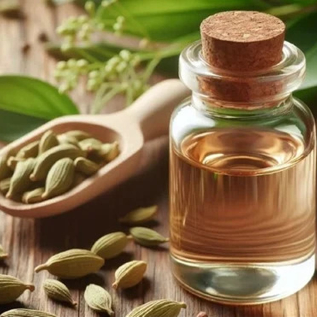 Cardamom Oil (Elettaria Cardamonum)